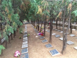 西山骨灰林陵园