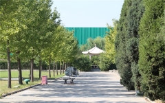 长青园陵园环境图陵园绿树