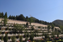 盘龙台公墓环境图