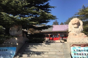 金山陵园景观图片