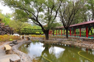 福安园公墓景观图片