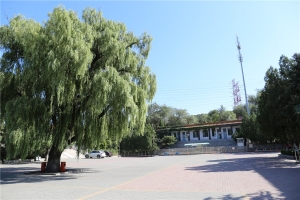 馆内环境