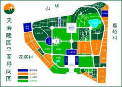 平面图