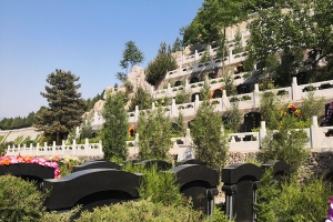 盘龙台公墓景观图片