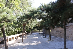 馆内环境