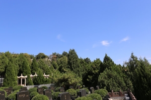 温泉墓园景观图片