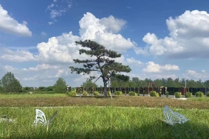 永安陵园景观图片