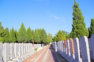 天慈墓园景观图片