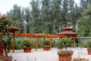永福墓园景观图片