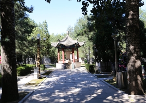 长青园墓区风水环境与安葬服务全面解析