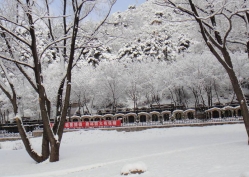 八达岭陵园环境图