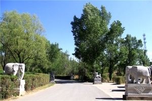 福安园公墓景观图片