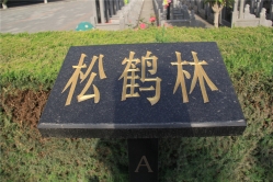 极乐园公墓环境实拍