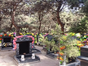 北京思亲园陵园详细介绍与选购指南