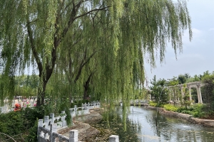 德芳潭陵园景观图片