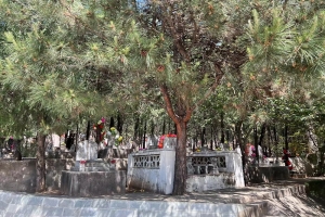 龙泉公墓景观图片