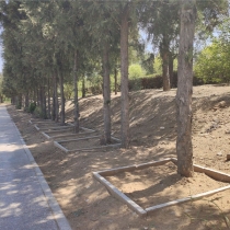 中华园树葬卧碑8800