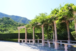 天山陵园环境图