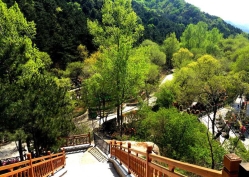 八达岭陵园环境图