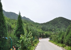十三陵景仰园陵园环境实拍图片