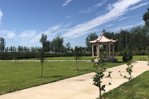 天福园公墓景观图片