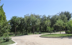 外侨公墓环境图园内树木