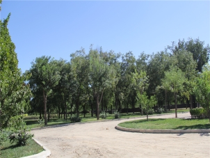 外侨公墓墓地地址查询与联系方式获取指南