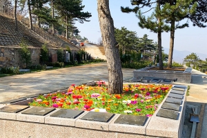 永宁陵园景观图片