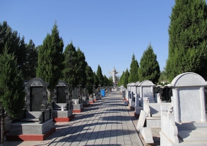 选择陵园的重要因素与考虑因素