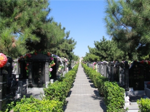 朝阳陵园详细介绍与服务指南