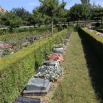 青翠园卧碑