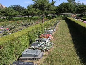 探秘长安园公墓的历史与文化价值