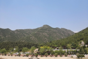 德陵公墓景观图片
