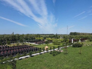 文安清颐园公墓价格解析与服务指南