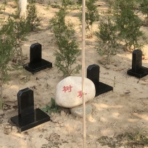 施孝园树葬56000.41