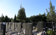 通惠陵园环境图154831040716394