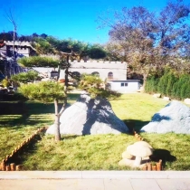 如意园树葬景观石168000