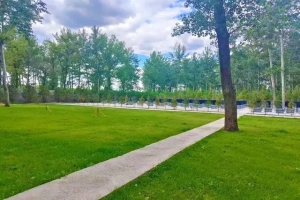 通福园公墓景观图片