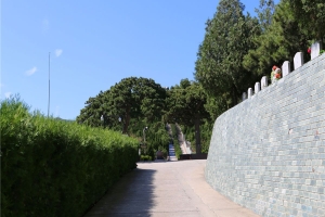 温泉墓园景观图片