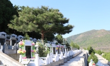 归山陵园环境实拍墓区