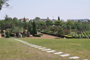 静安墓园景观图片