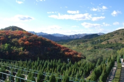 十三陵景仰园陵园环境实拍图片