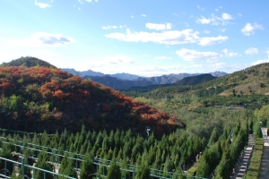 十三陵景仰园陵园景观图片