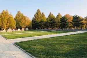 灵山宝塔陵园景观图片