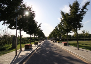 天慈墓园网站：绿色生态安息新体验