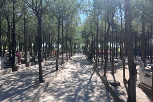 昌平佛山陵园景观图片