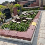 京韵园花坛葬