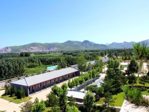 灵山宝塔墓地的具体位置及文化背景介绍