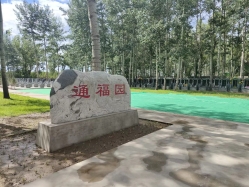 通福园公墓环境实拍