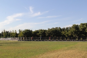 天慈墓园景观图片